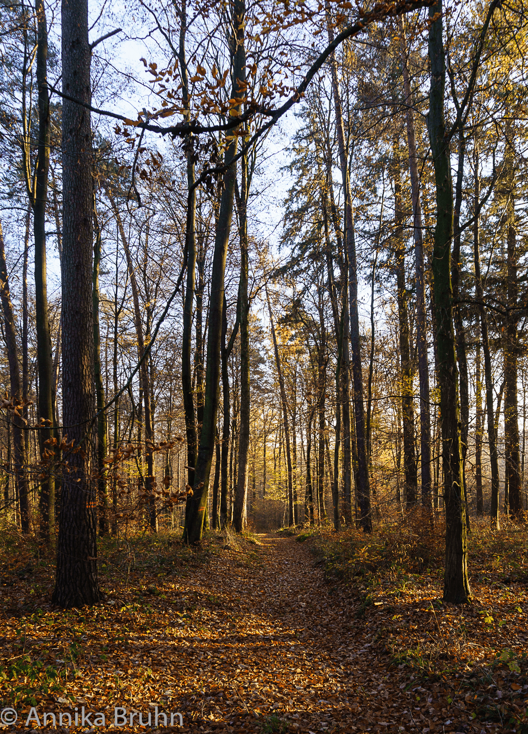 Herbstweg